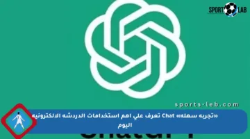 «تجربة سهلة» Chat تعرف على أهم استخدامات الدردشة الإلكترونية اليوم